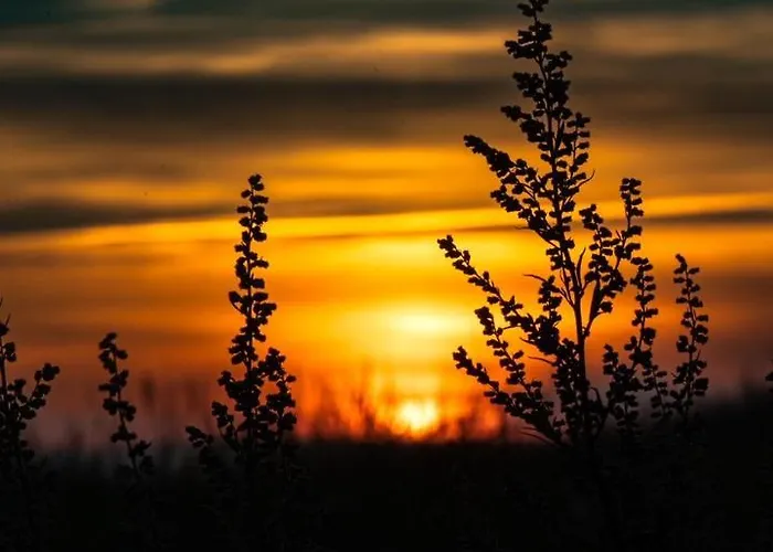 49 6 N Dwarsloeper Schillig